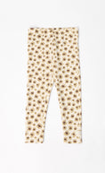 Load image into Gallery viewer, 2 Pack Leggings
